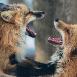 怒りをコントロールする3つのポイント